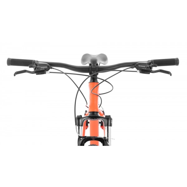 Devinci Troy Carbon 29 X01 Bike 2019